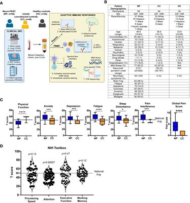 Neuro-PASC is characterized by enhanced CD4+ and diminished CD8+ T cell responses to SARS-CoV-2 Nucleocapsid protein